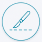 icon surgery